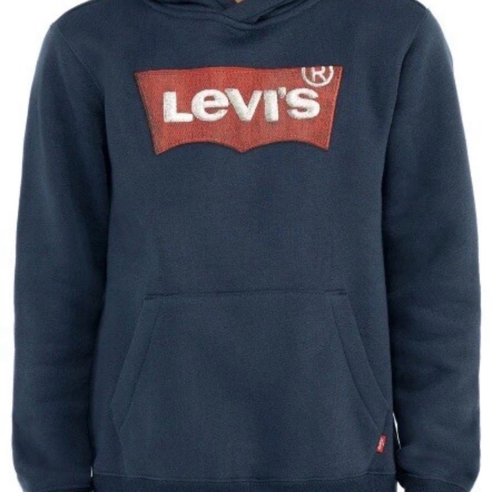 Levi's boys Graphic hoodie